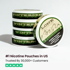 Lone Pouches - Wintergreen - 5 Pack