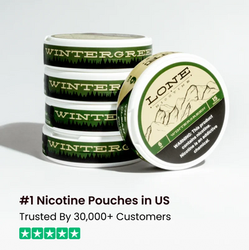 Lone Pouches - Wintergreen - 5 Pack